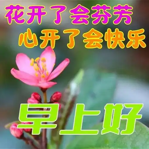 10月4日早安漂亮图片问候祝福语|快乐|清晨|思念|幸福|早上好_网易