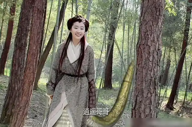 仙剑奇侠传1灵儿为什么一直拒绝李逍遥心伤透了才不敢奢望