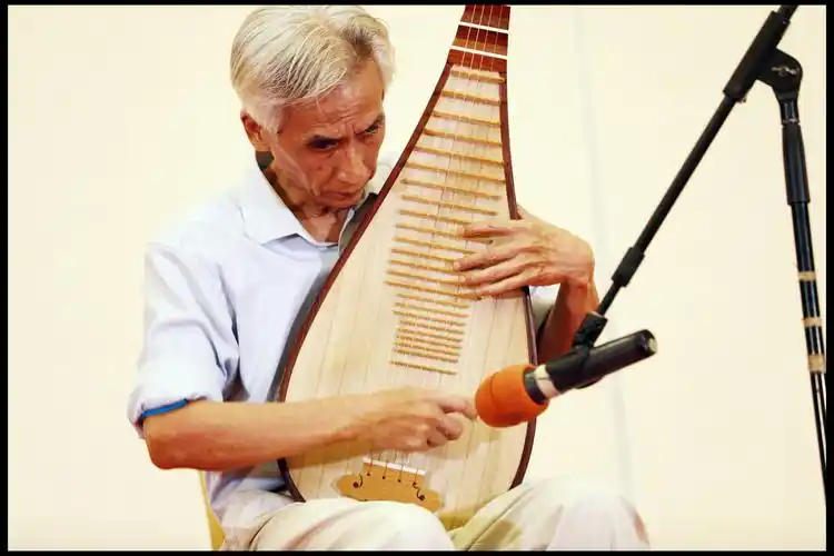 琵琶独奏《十面埋伏》