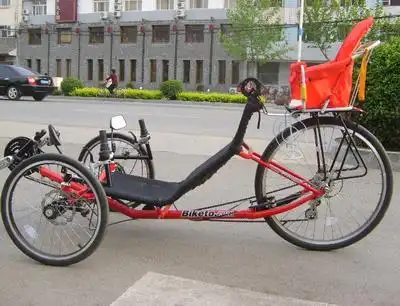 衡水老张自制"三轮躺车"逛桃城(组图)