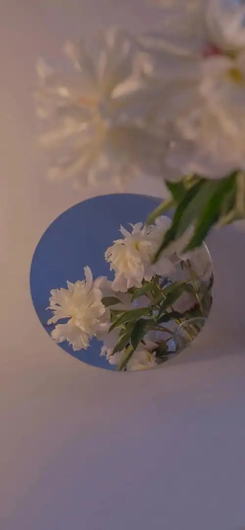 绝美夏日壁纸合集丨现在努力就是去见未来想见的人