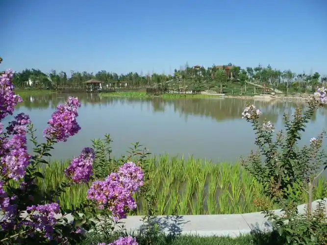 "成长之城 大美任丘"的美景 小编带您逛一逛!