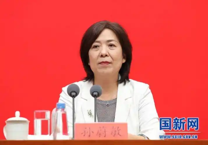 办:始终支持企业依法依规合理利用境外资本融资发展_审查_孙蔚敏_中国