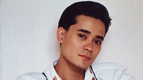 刚知道一个叫陈汝佳的八十年代男歌手,气质好好