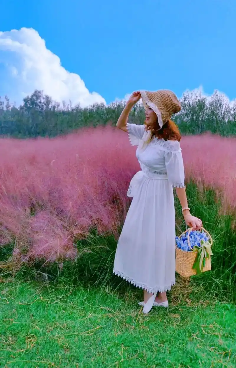 唯美的粉黛乱子草,它的花语是<等待>丶#唯美意境 #用微笑相