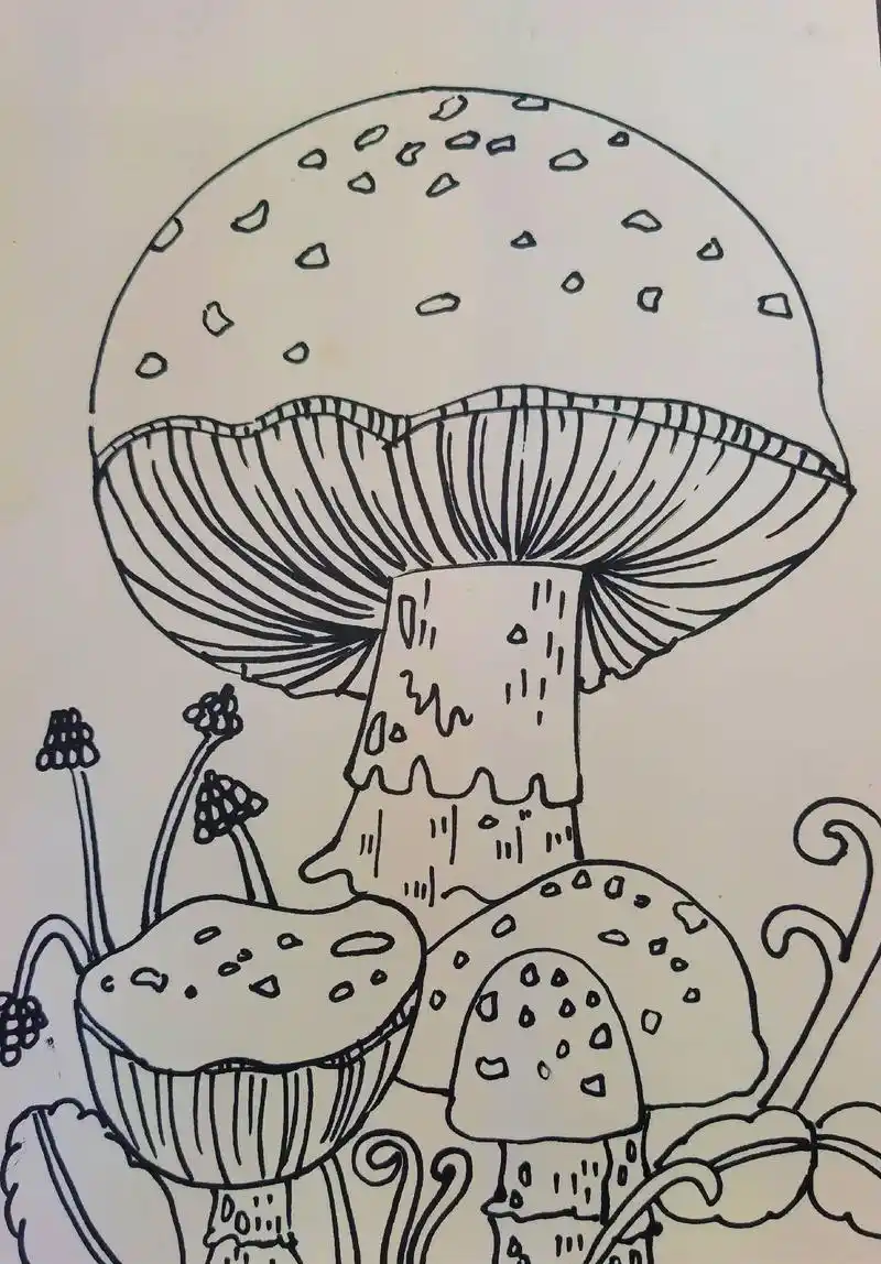 儿童画蘑菇