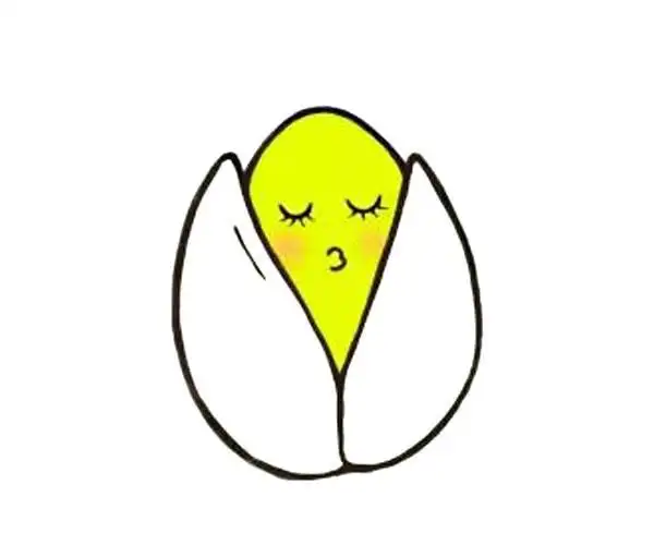 儿童学画卡通开心果图解卡通开心果简笔画