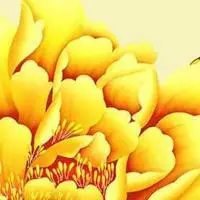 金色唯美头像 最美金色头像图片_微信头像图片大全