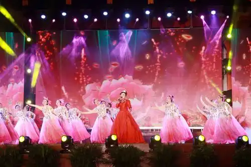 旬阳县第一届道德模范颁奖晚会