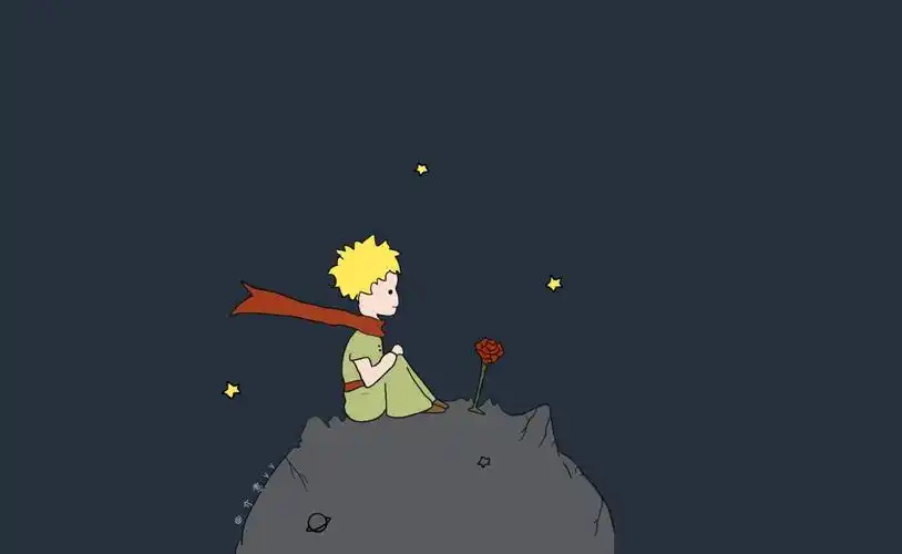 小王子和玫瑰花,太治愈啦_高清图集_新浪网