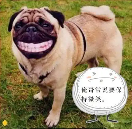 好玩幽默图片_看了让你放松一整天