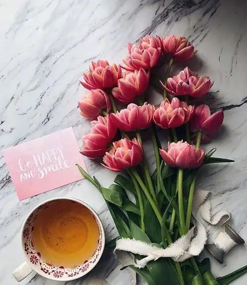 唯美入心的经典句子发朋友圈很有格调看看书做