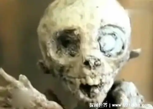 7个外星人真实图片