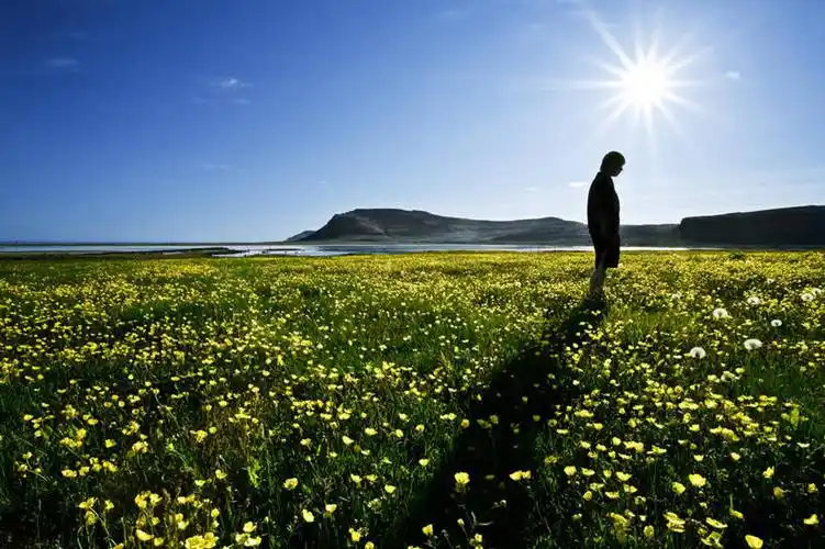 风景,人文,休闲 分享到: 图片编号: tkm001_882627 授权许可类型: rm
