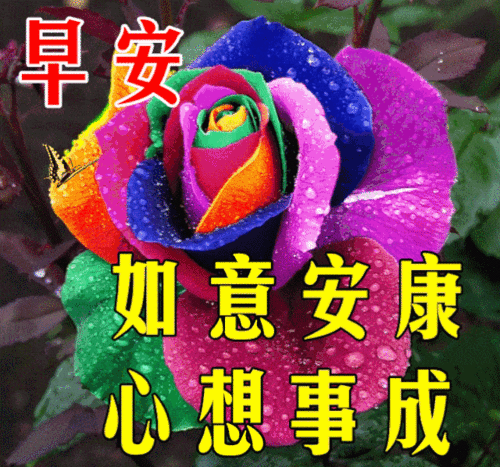 12月2日最漂亮早上好动态表情图片大全早晨好动图美图大全