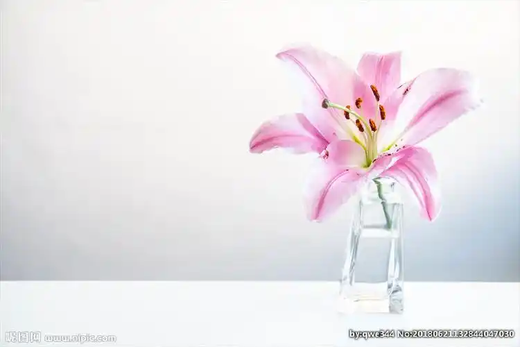 瓶子里的香水百合花图片