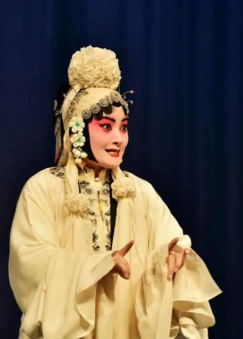 青春版河北梆子【蝴蝶杯】剧照