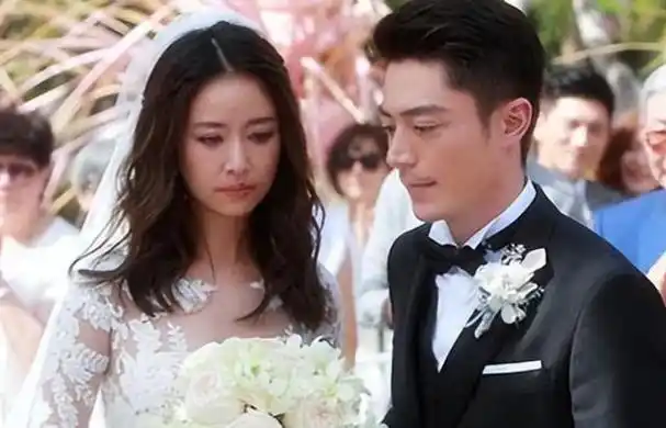 夫妻本是同林鸟但抱歉林心如这次也救不了霍建华