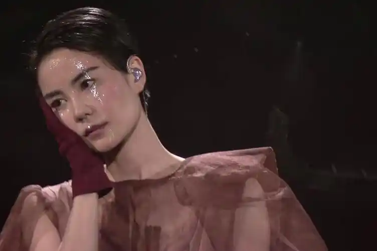 你是我美丽的永恒的瞬间(王菲:幻乐一场)影评