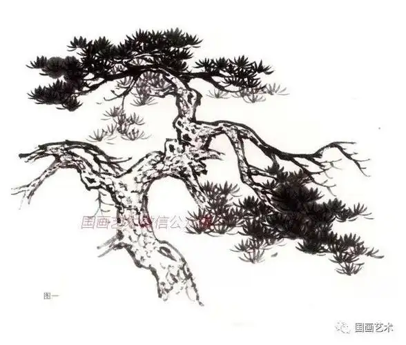 书画联盟丨简章易学松树画法