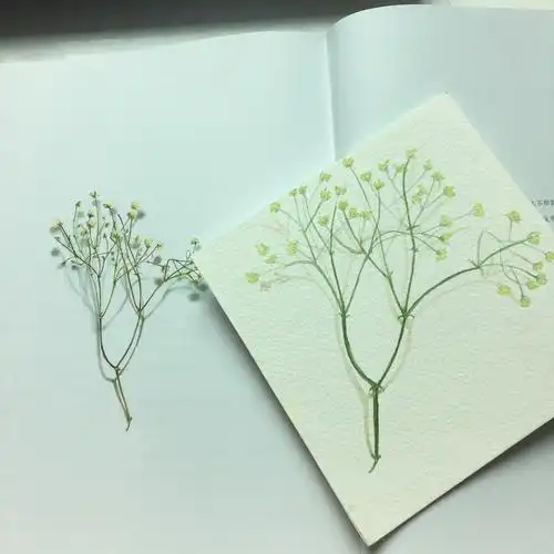 临摹李淡淡满天星