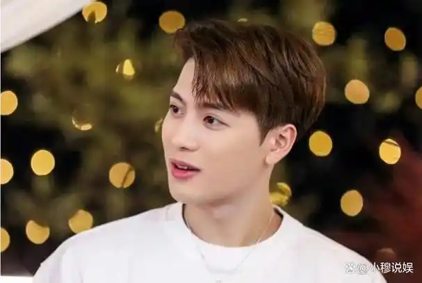 王嘉尔:从击剑冠军到音乐新星的跨界传奇