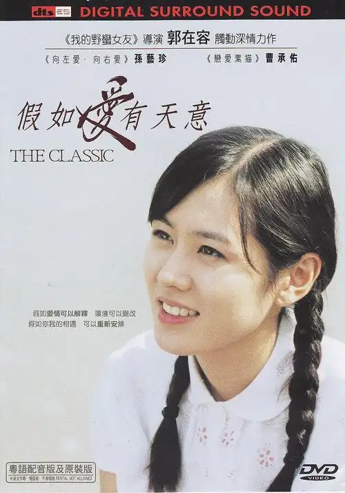 假如爱有天意 海报