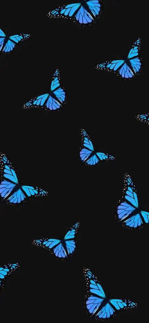 蝴蝶壁纸大全 | 纯黑背景图锁屏壁纸