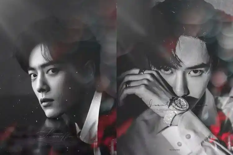 肖战王一博壁纸