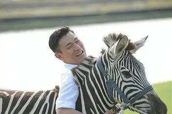 刘德华泰国拍广告遭马匹踩中腰脊伤势严重 乘专机返港治疗_百度视频