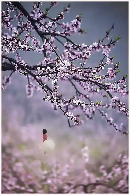 十里桃花园,烟雨醉春风