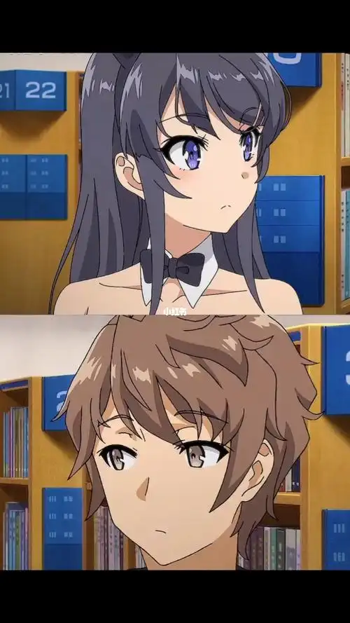 青春期猪头少女不会梦到兔女郎学姐yyds