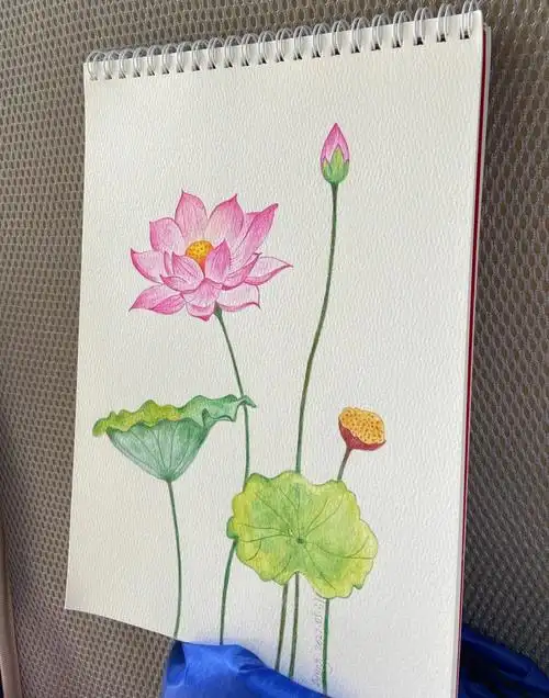 了,画出的荷花有种孤独且骄傲挺拔的感觉,我最最满意的就是右边的荷叶