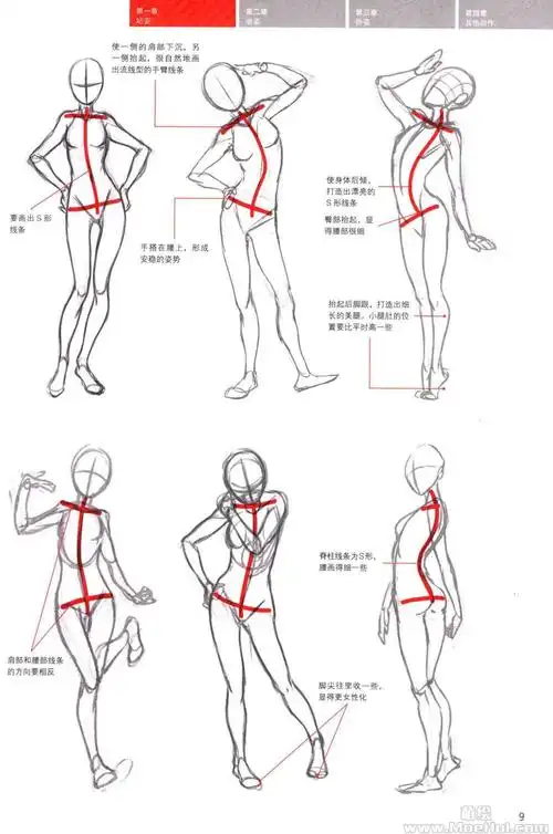 教程:女性角色的画法》以手绘为主题,主要介绍了女性动漫角色的绘画
