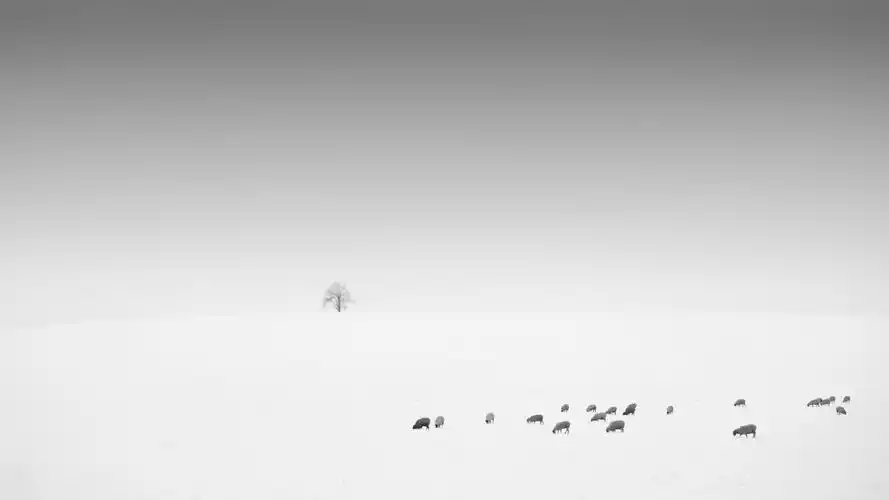 极简主义风景摄影高清宽屏桌面壁纸