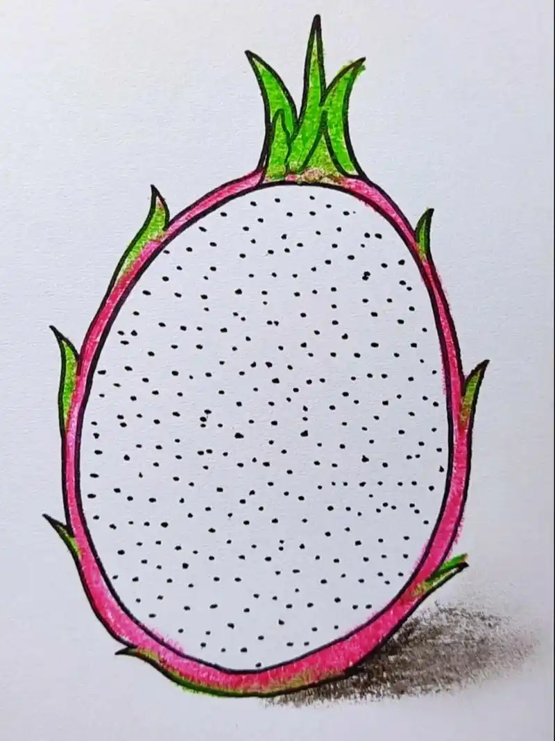 火龙果的简笔画 火龙果这样画,是不是很简单