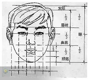 绘画中人的五官比例标准 (青岛美术素描画室 青少年小学中学生美术