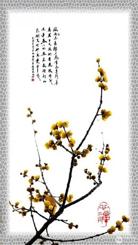 腊梅图