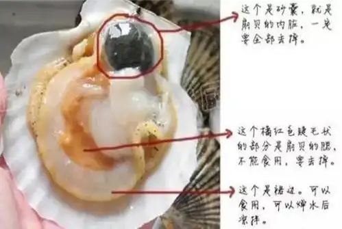 如何挑选鲜活海鲜?各种海鲜选购及食用禁忌知识