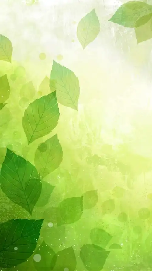关键词 : 叶子,唯美,浪漫,清新,绿色,简约,自然,清新h5素材,文艺,小