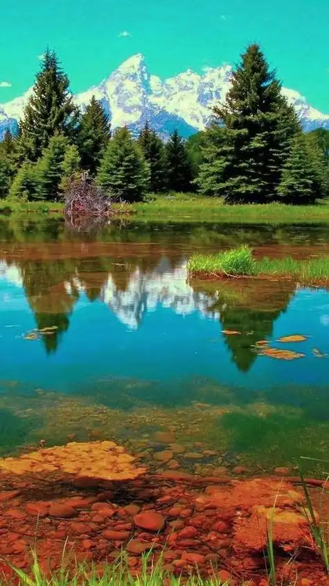 漂亮的风景图片最美大自然 最美的图片和风景大自然
