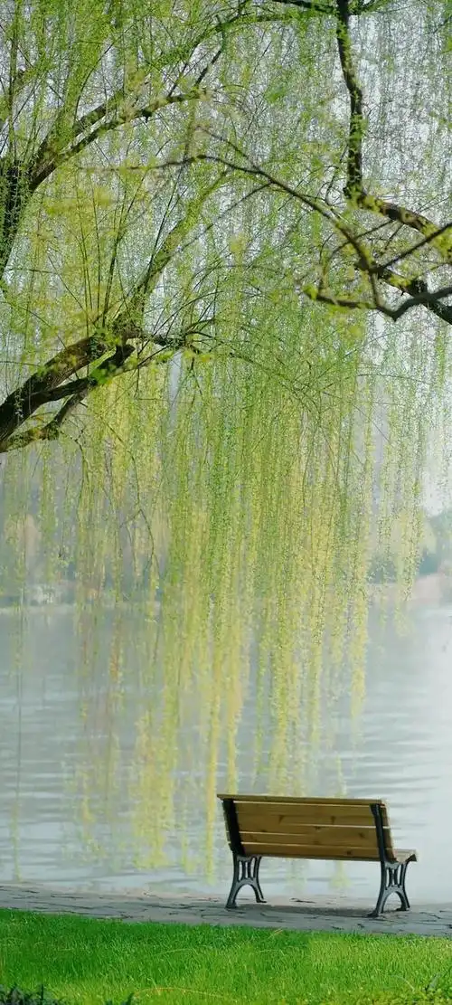 夏日小清新唯美治愈风景图,夏季清新唯美图片(夏日清新壁纸)