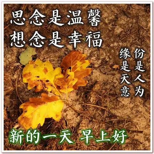 开心早安问候祝福图片 温暖心田的早上好问候_人生_力挽_因为