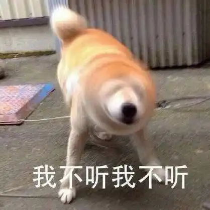 狗子摇头 - 你跟你女朋友讲道理时候她的样子_狗子_doge_摇头表情