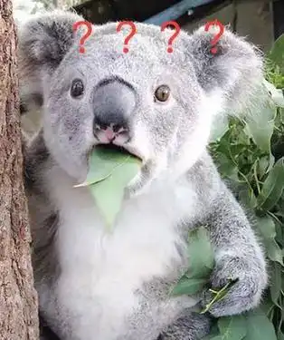 关于蠢的句子形容一个人蠢笨如猪的语句