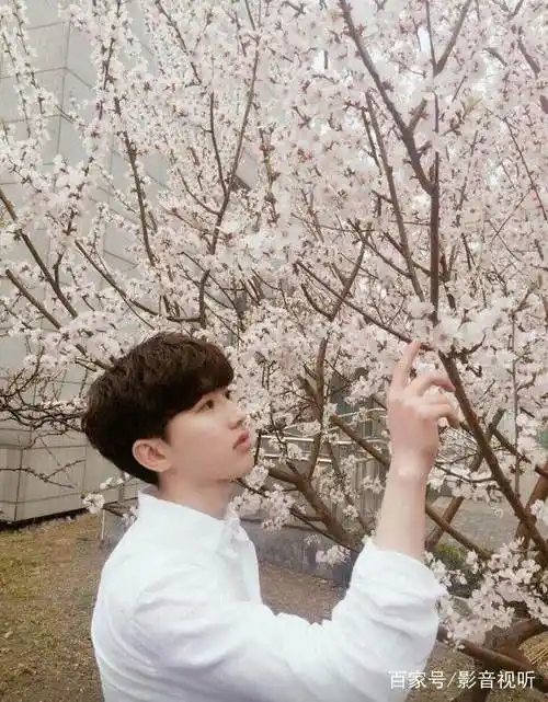 蔡徐坤微博晒照高达30多万评价,比鹿晗还要招粉,就凭这四个字!