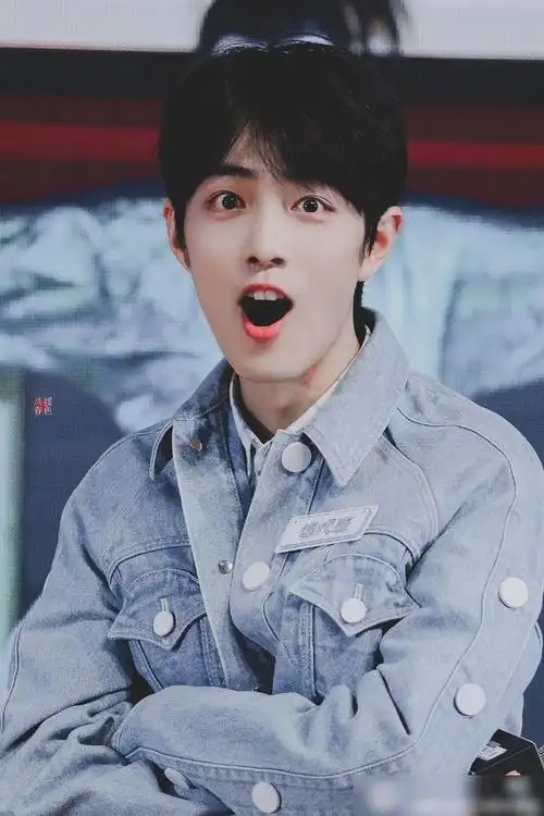 肖战撒娇卖萌集锦你能坚持到第几张