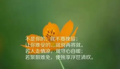 致自己的唯美句子励志致自己的唯美句子四十岁