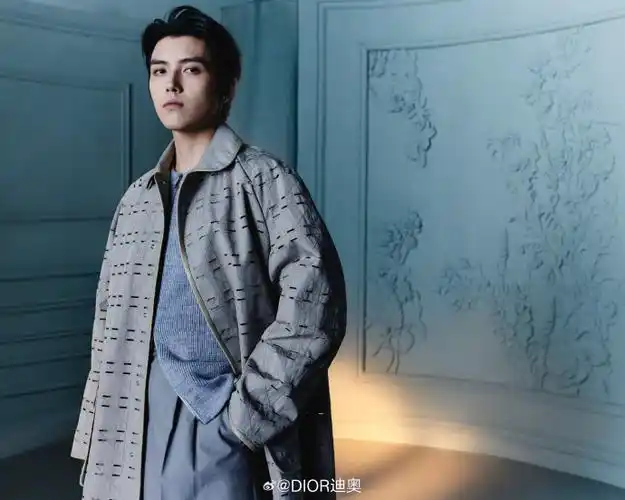 迪奥品牌大使陈飞宇