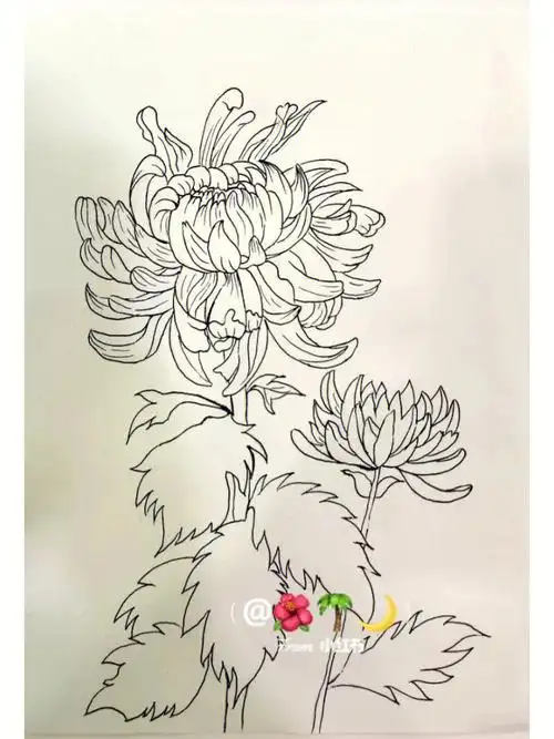 彩铅  #画画的日常  #简笔画  #彩铅手绘  #彩铅画  #菊花